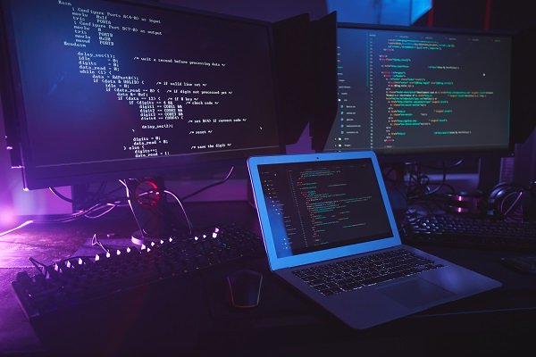 Web Development